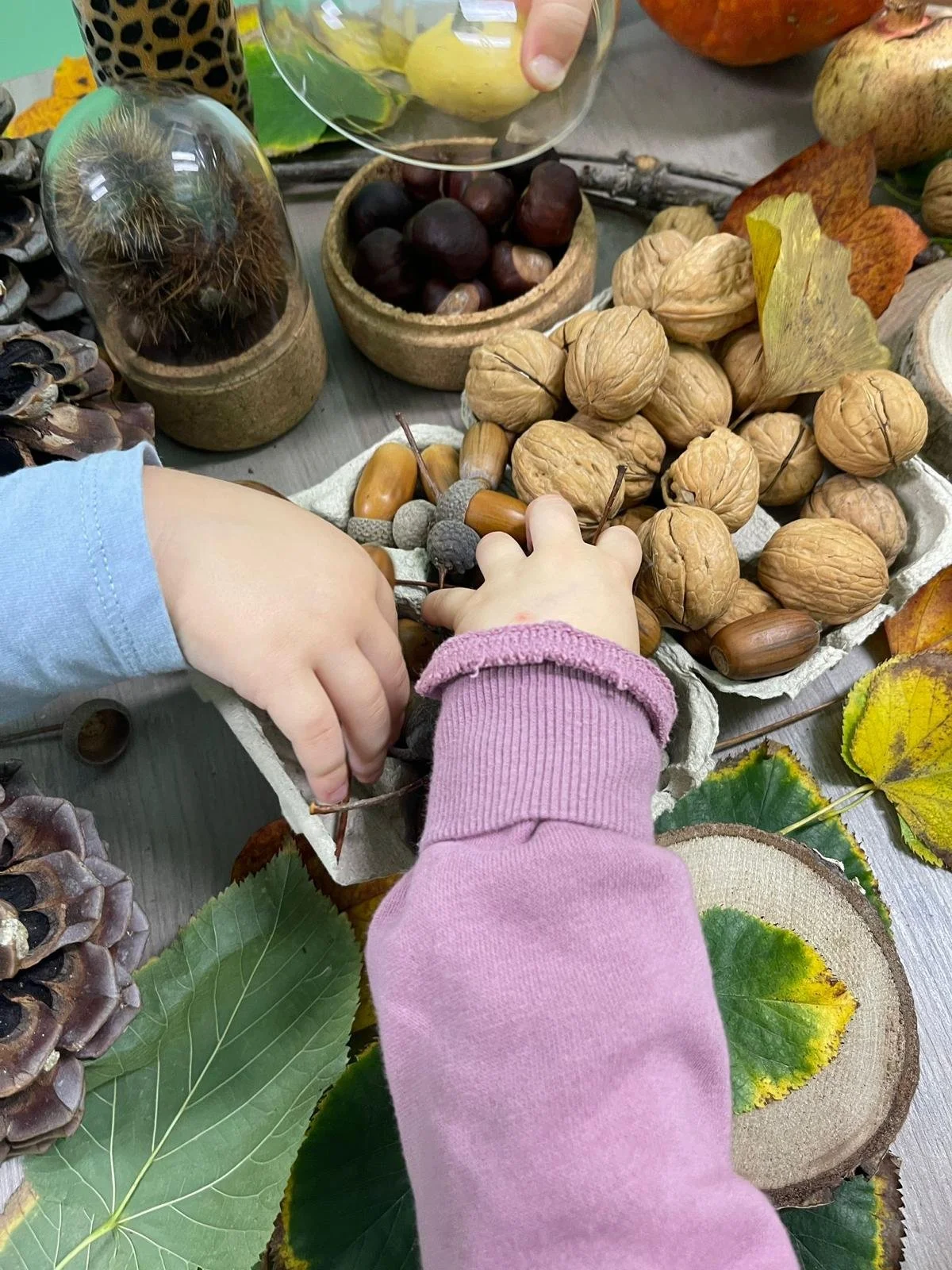 WhatsApp Image 2026-02-03 at 08.35.18.jpeg