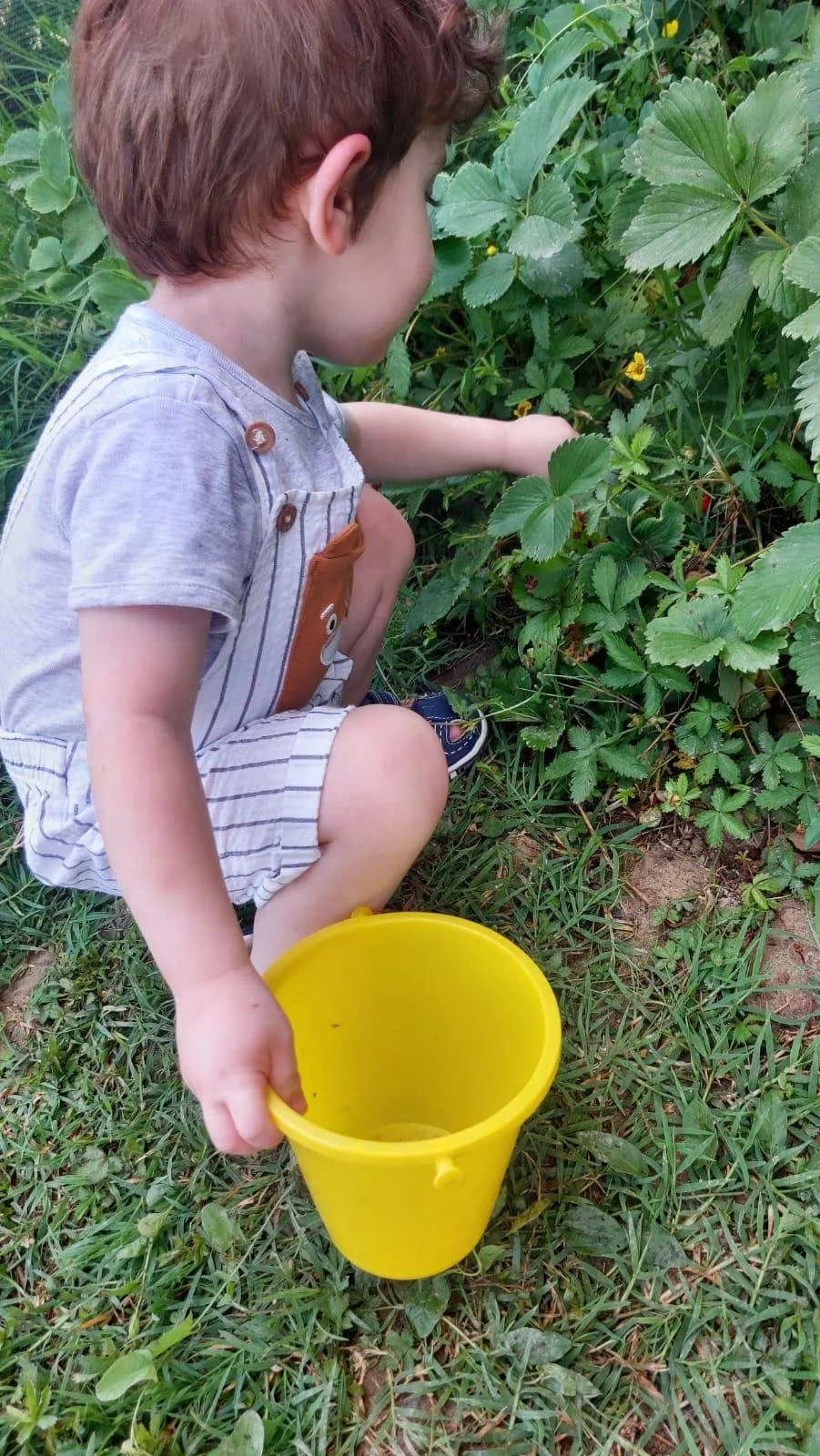 WhatsApp Image 2026-02-03 at 08.34.38.jpeg