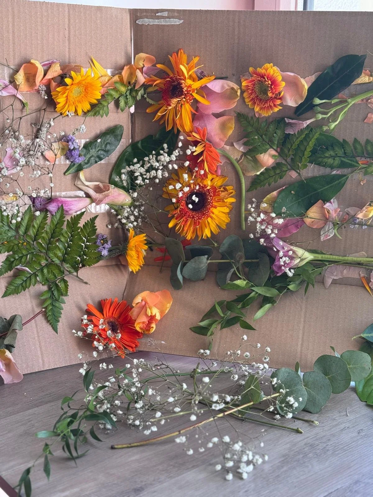 WhatsApp Image 2026-02-03 at 08.36.10.jpeg