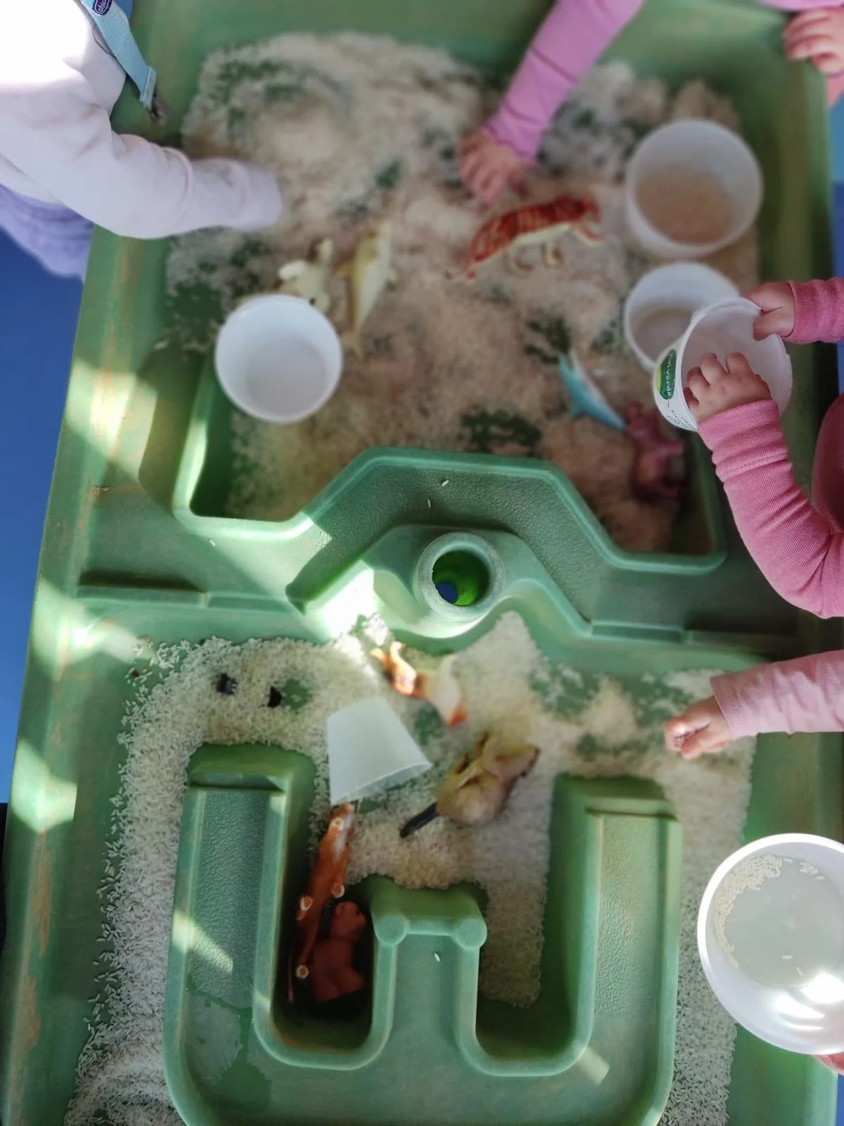 WhatsApp Image 2026-02-03 at 08.27.52.jpeg