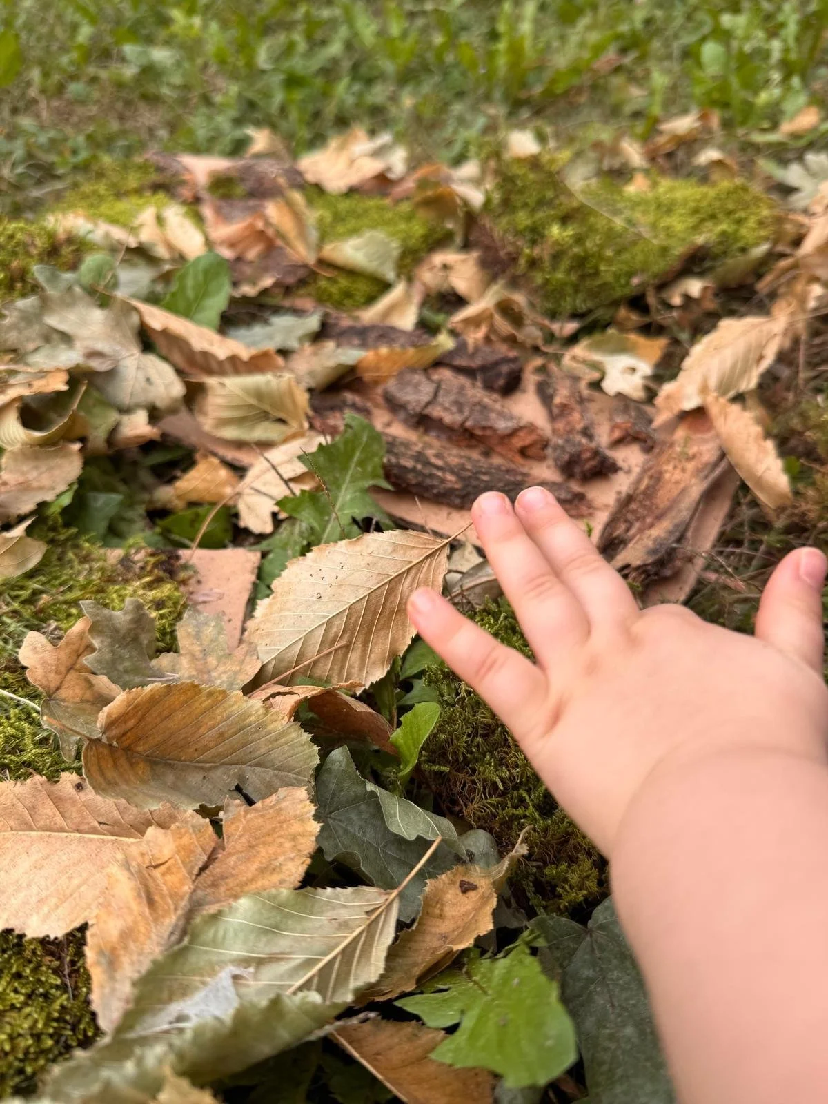 WhatsApp Image 2026-02-03 at 08.36.44.jpeg