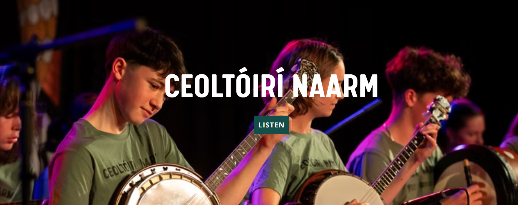 Ceoltóirí Naarm Kids Music Lessons Resume