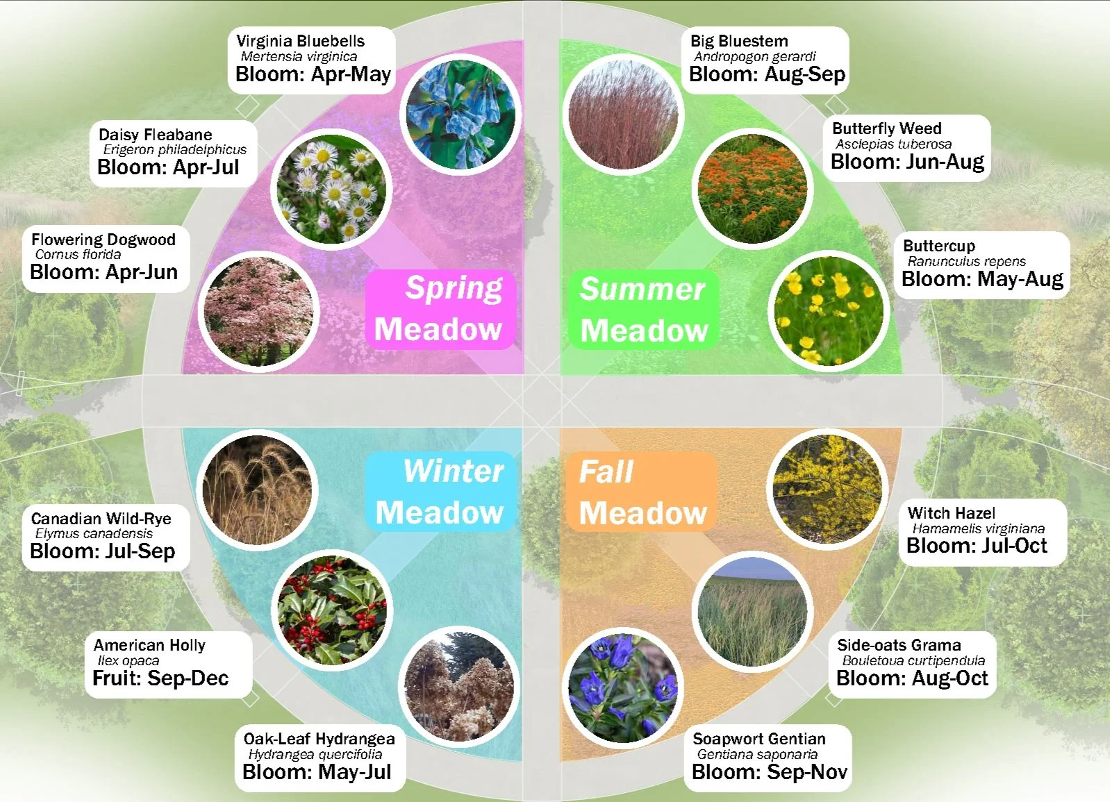 Turntable Meadow explanation