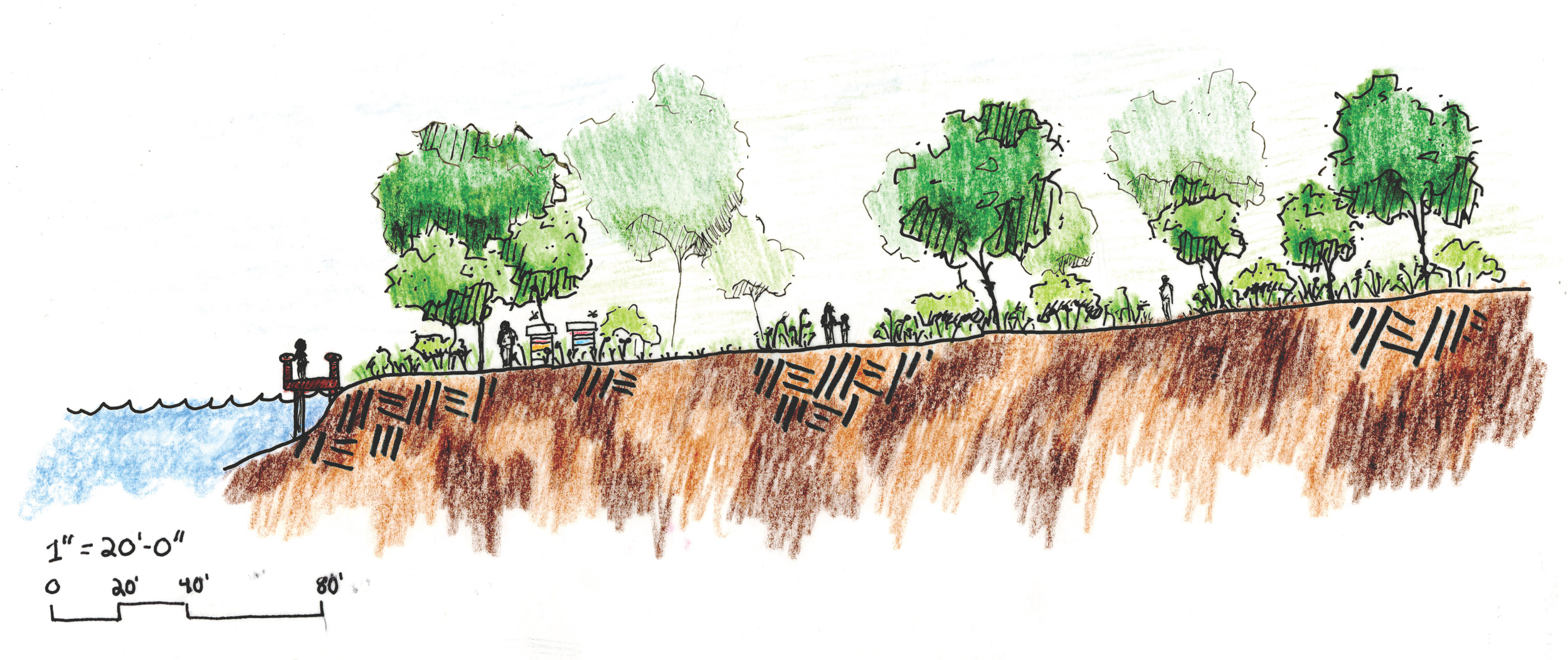 Section of the forest