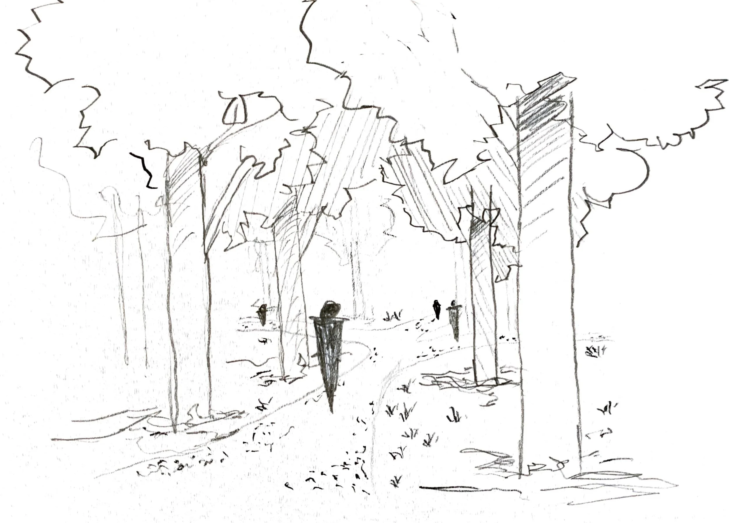 Perspective, inside the forest 