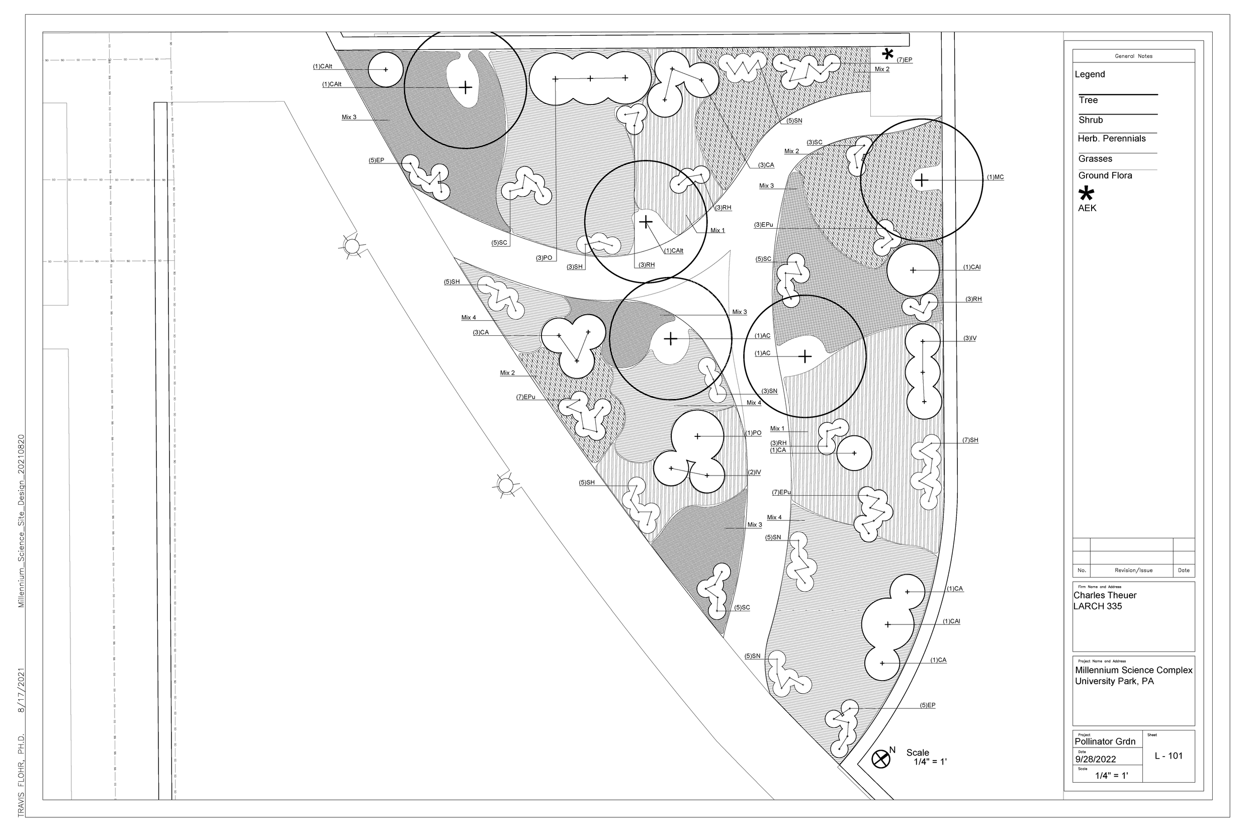 Planting plan for wildflower garden