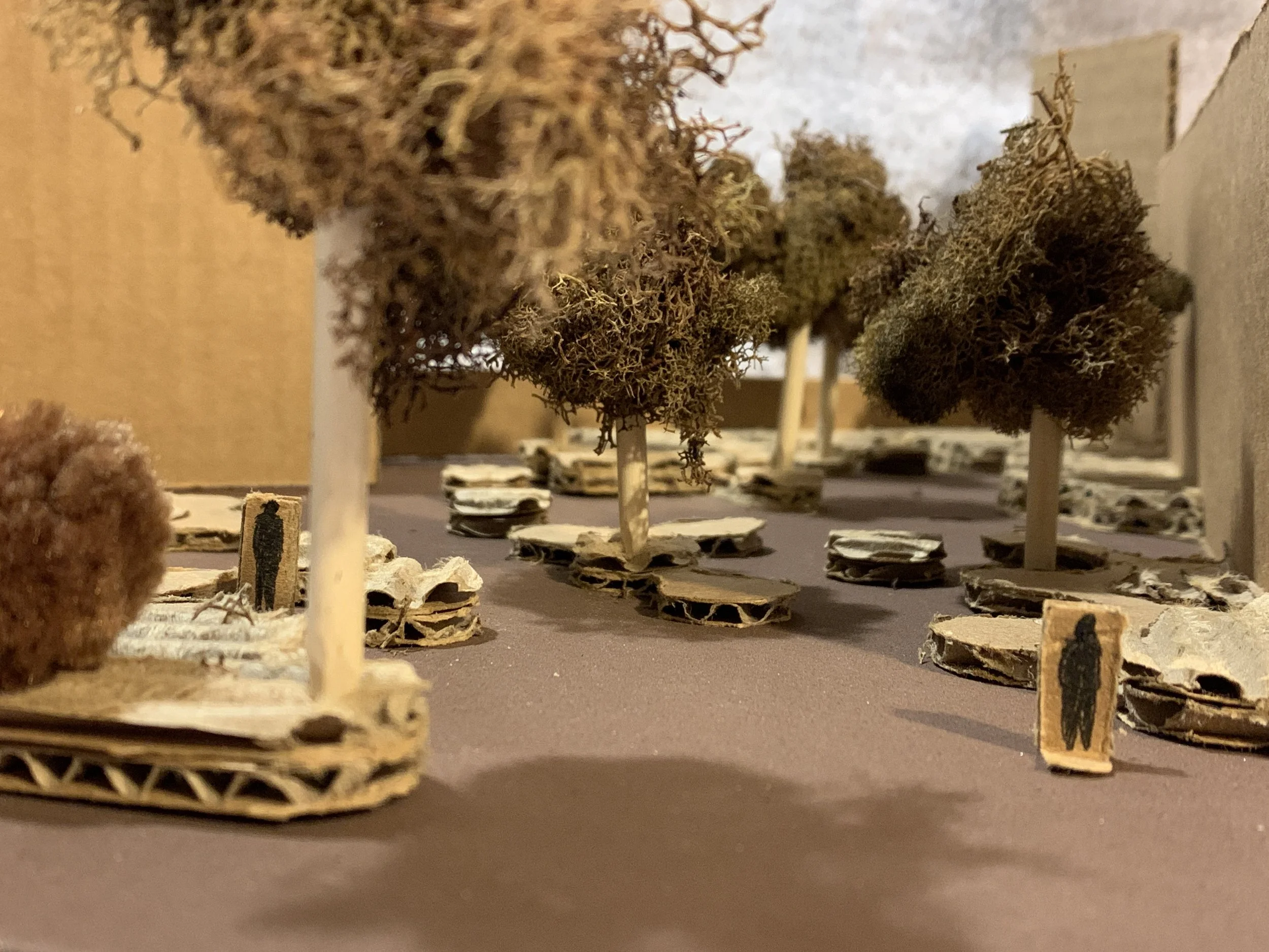 Additional eye-level view 