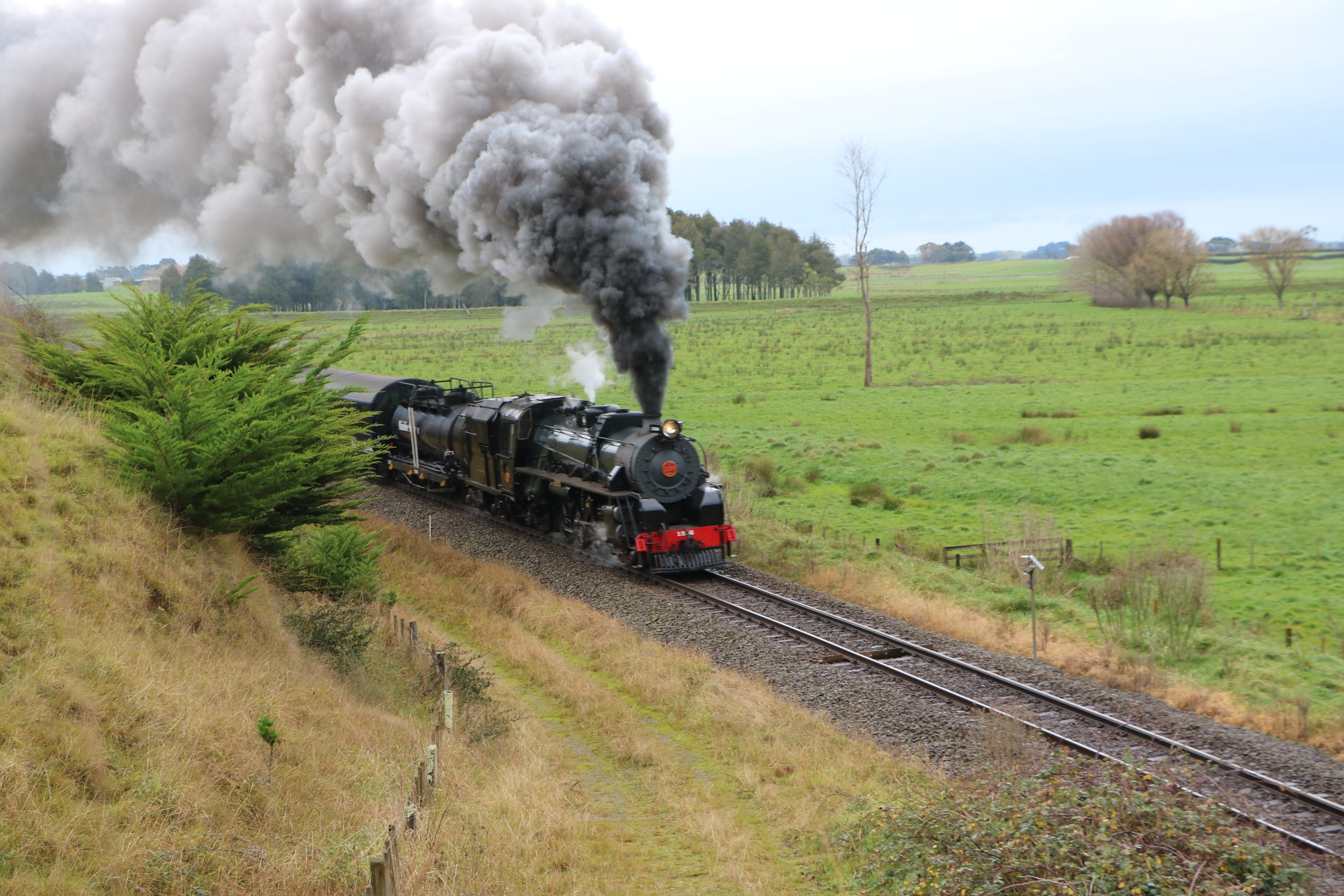 AN EARLY MOTHER’S DAY TREAT – THE TUI EXPRESS  