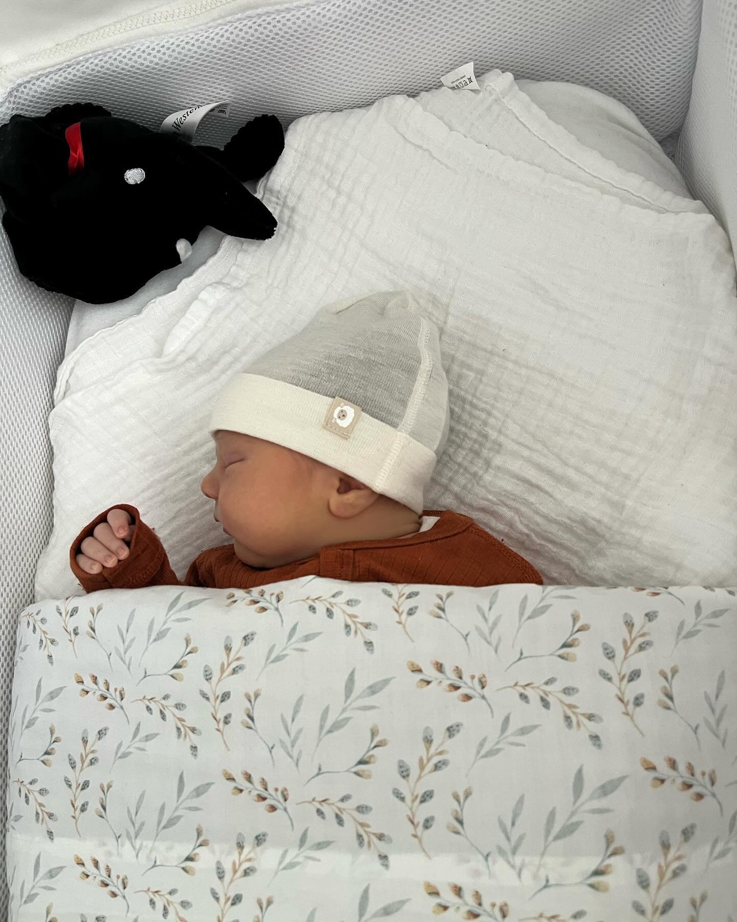 Daar is hij dan! 

Gijs 💚 6 mei 2024

We maken het goed en zijn hard aan het herstellen. 

PS: mijn agenda voor september staat weer open! 🍀

#newborn #ayurvedalifestyle #gijs #postpartum #herstellen