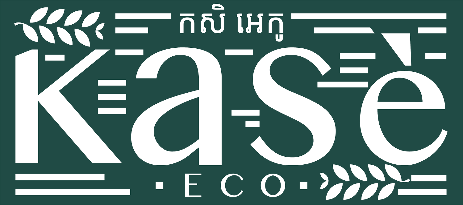 Dynamic Solution 