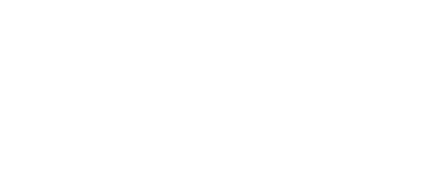 Dynamic Solution 