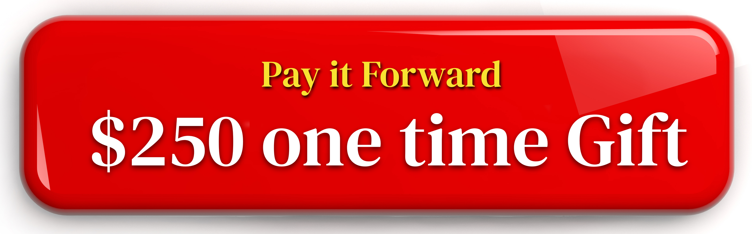 Red button with yellow text 'Pay it Forward' and white text '$250 one time Gift'.