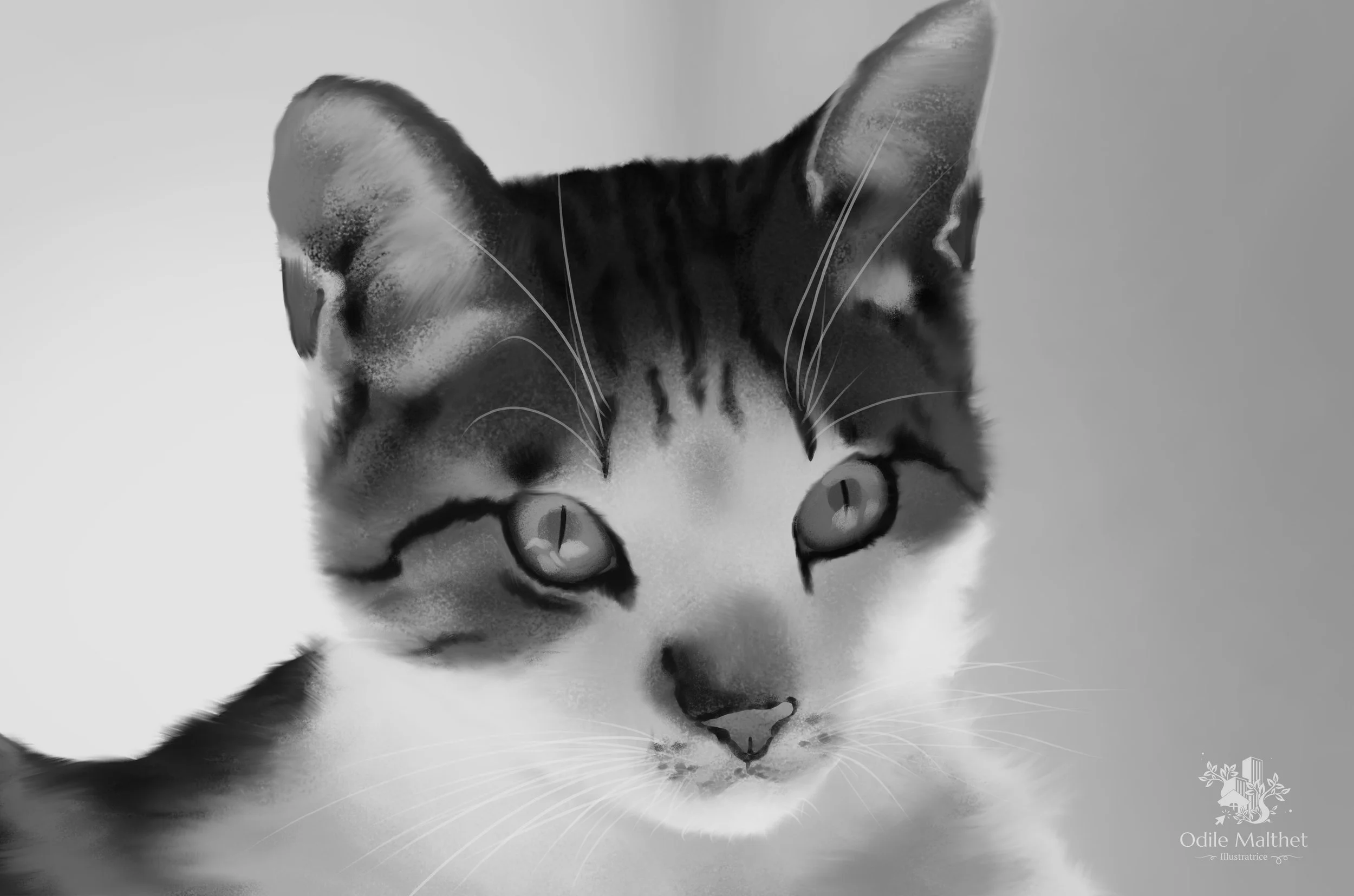 Peinture en noir et blanc - Minouche