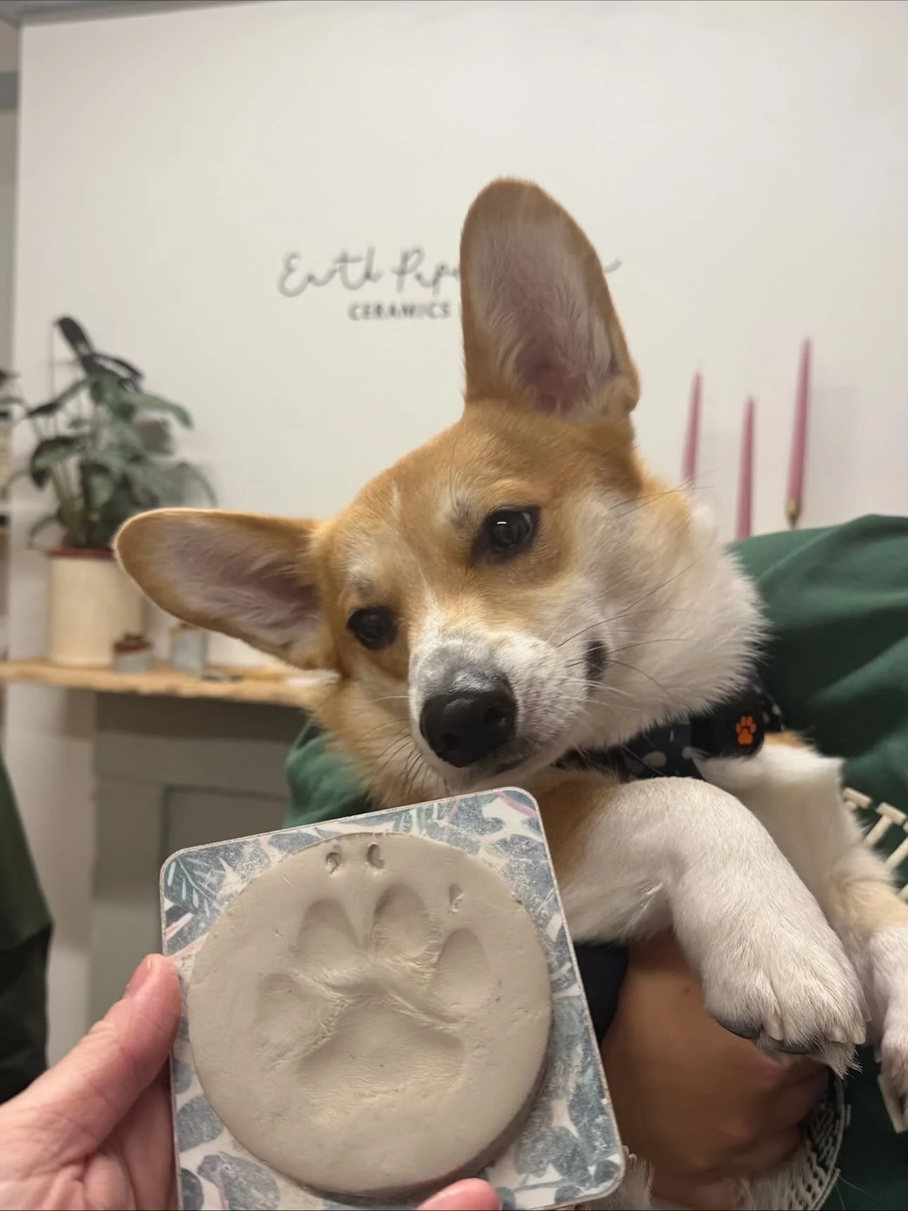 kicking off tomorrow, @earth_paper_fibre November workshops at Leah’s Yard begin! ✨
Join them to make your very own dried-flower vases, festive plates, tea-light houses, ceramic wreaths and lots more fun! 
Head over to the @earth_paper_fibre