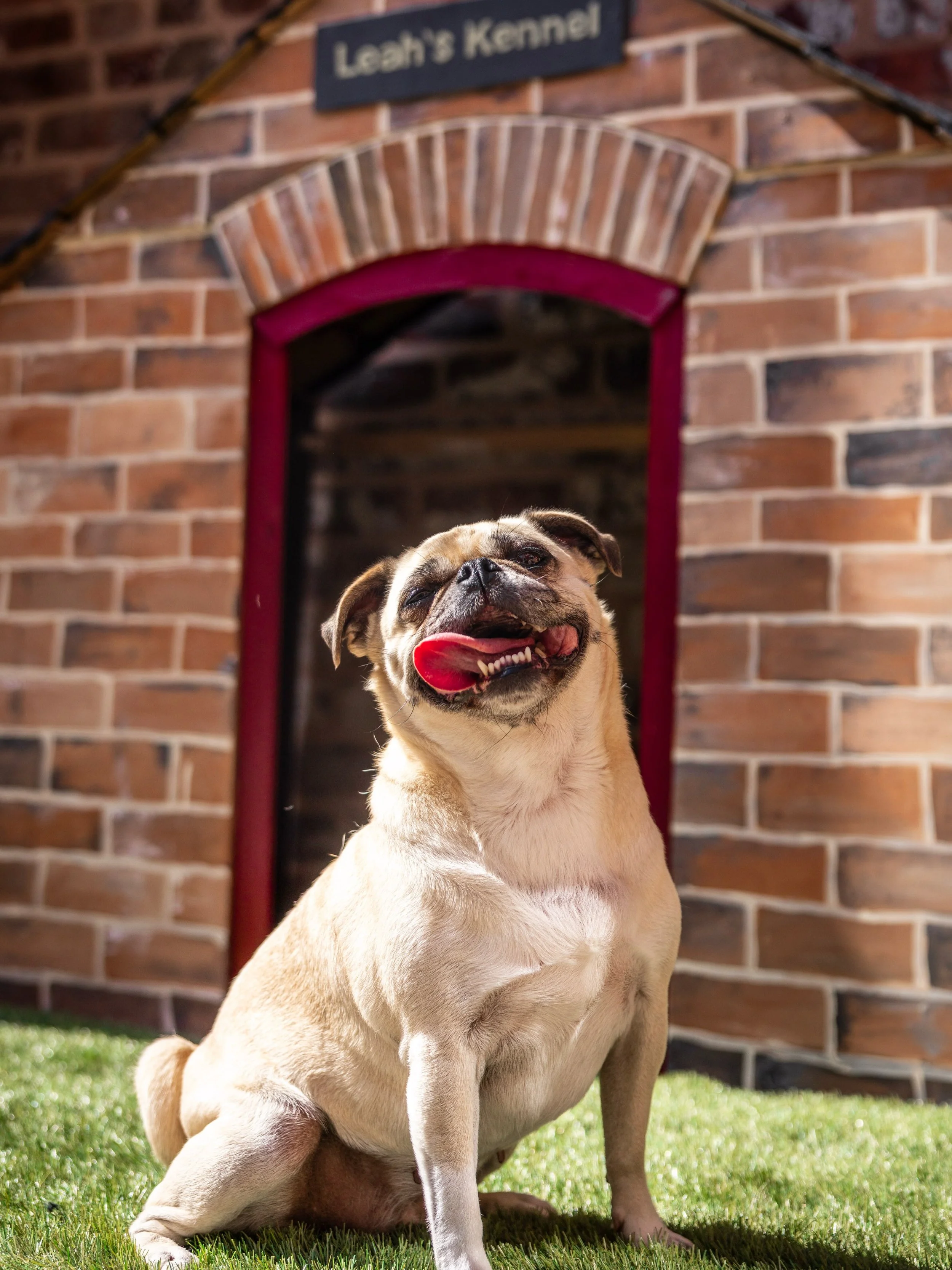 We love the doggos at Leah&rsquo;s Yard 🐶

If you&rsquo;re visiting with your pup, just ask our retailers for a treat jar (they have plenty) and tag us in your pics 📸