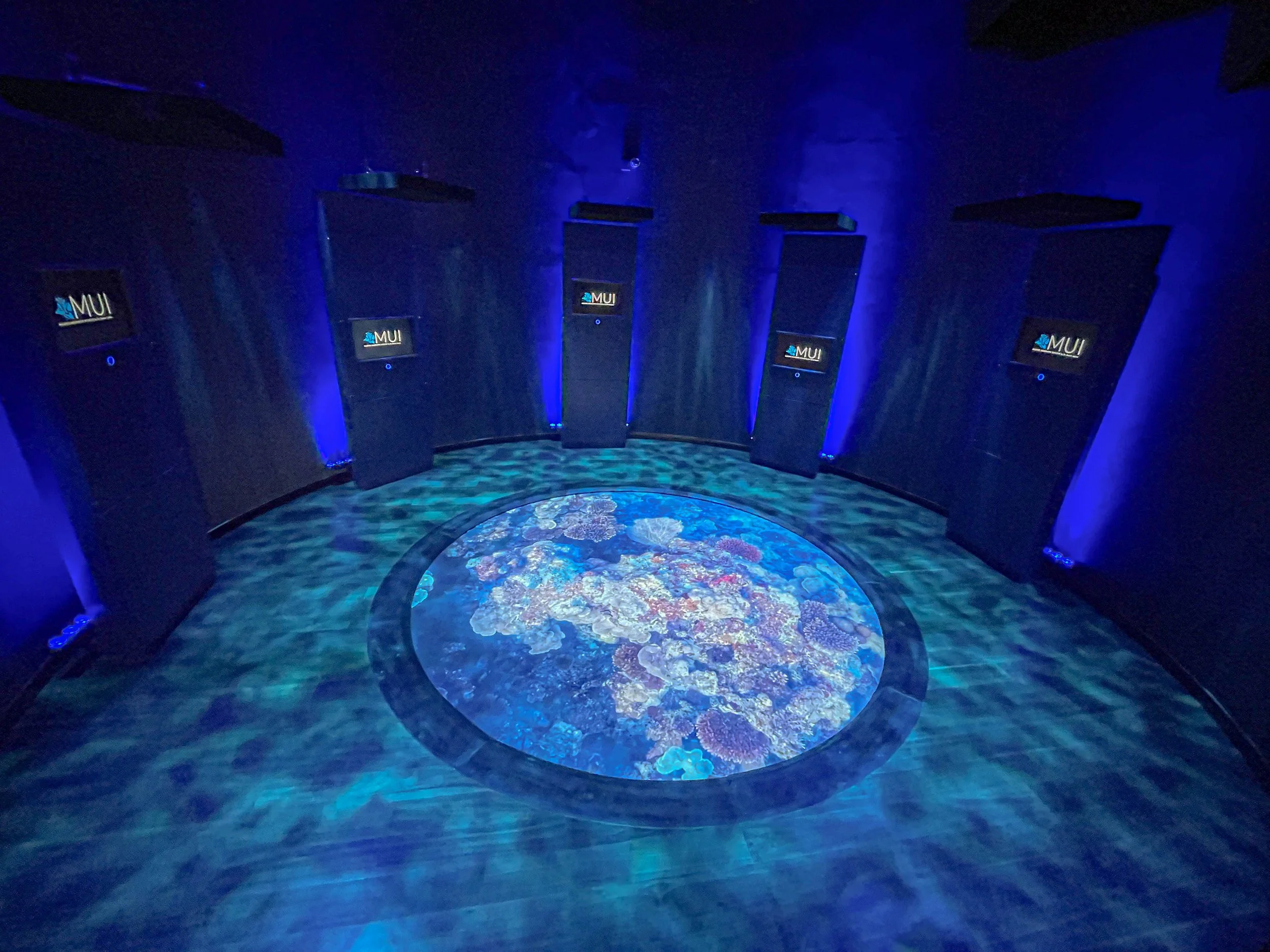 Short Videos for Education Gallery