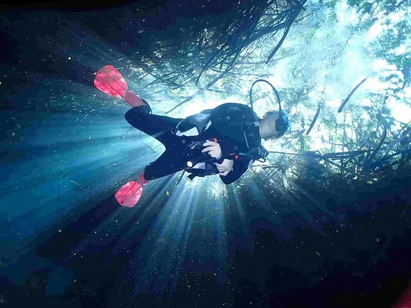 Discover Diving one cenote dive and one reef dive in Tulum