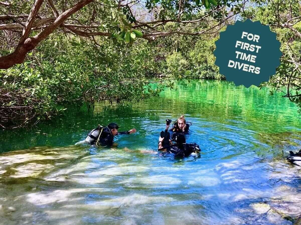 Beginner divers entering the water to dive at casa cenote tulum mexico