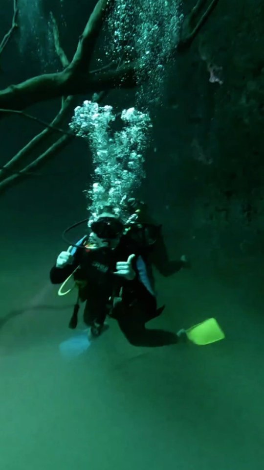 Time to Dive into Cenote ✨🍃
📸 @winikhaproject 🙏🏽
#ScubaTulum #TulumDive #CenoteDive #TulumScubaDiving #DiveTulum #CenoteDiving #TulumAdventures #UnderwaterTulum #CaveDiving #ScubaLife #TulumVibes #ExploreTulum #YucatanDiving #TulumUnderwater #D