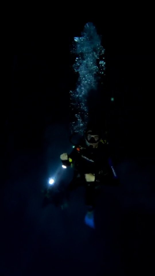 One shot ... Diving in Cenote Is just incredible. Being here under earth into the deep. Feeling this clear and fresh water on your skin... It's addictive 🤩☀️
Don't wait – Book it now 👇
DM us @mexidivers
📸 @winikhaproject 🙏🏽
#CenoteDiv