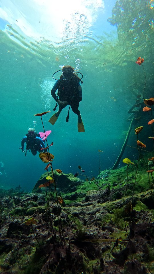 We wish you a wonderful ScubaWeekend 🫶🏽
#ScubaDiving #TulumDiving #DiveTulum #CenoteDiving #UnderwaterMexico #TulumVibes #OceanLovers #DiveLife #ExploreTulum #ScubaAdventure #DiveDeep #MarineLife #CenoteExplorer #UnderwaterWorld #ScubaTulum #Tulum
