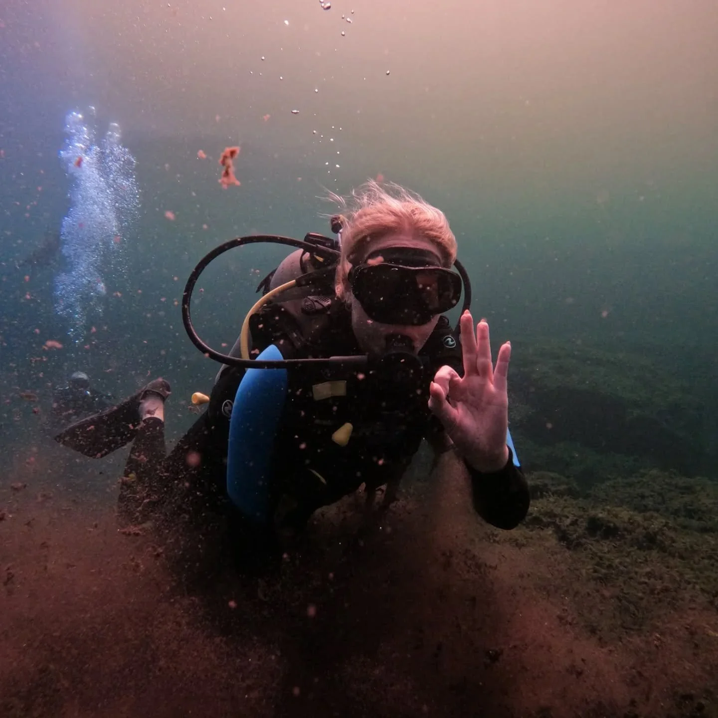 🍂✨ Fall vibes, Tulum style ✨🍂
Autumn has arrived in Tulum and even our cenotes feel wrapped in golden light. 

Mystical caves and shimmering rays &mdash; diving here at this time of year is like slipping into another world. 

Come experience the ma