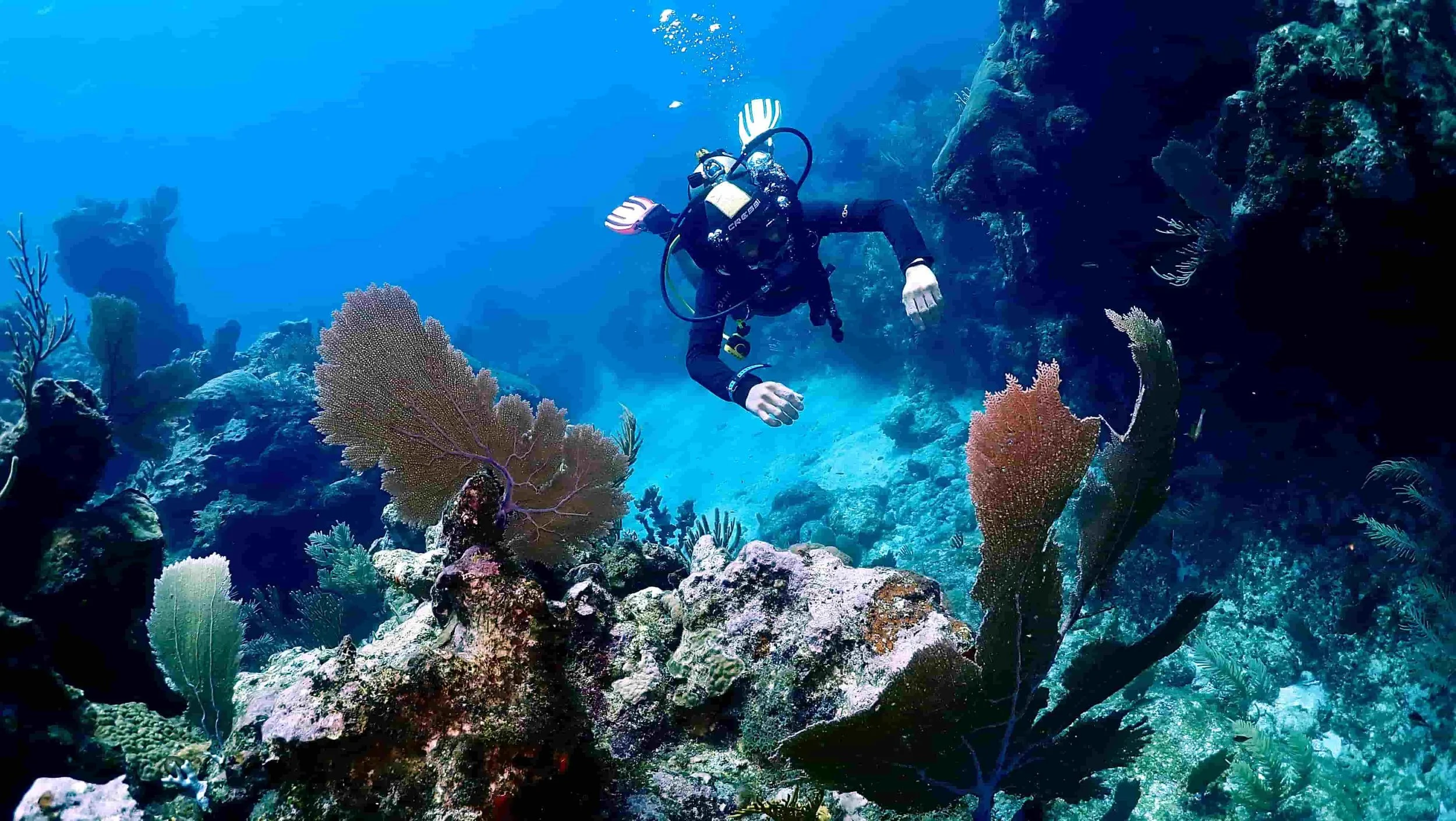 Diver at tulums reef