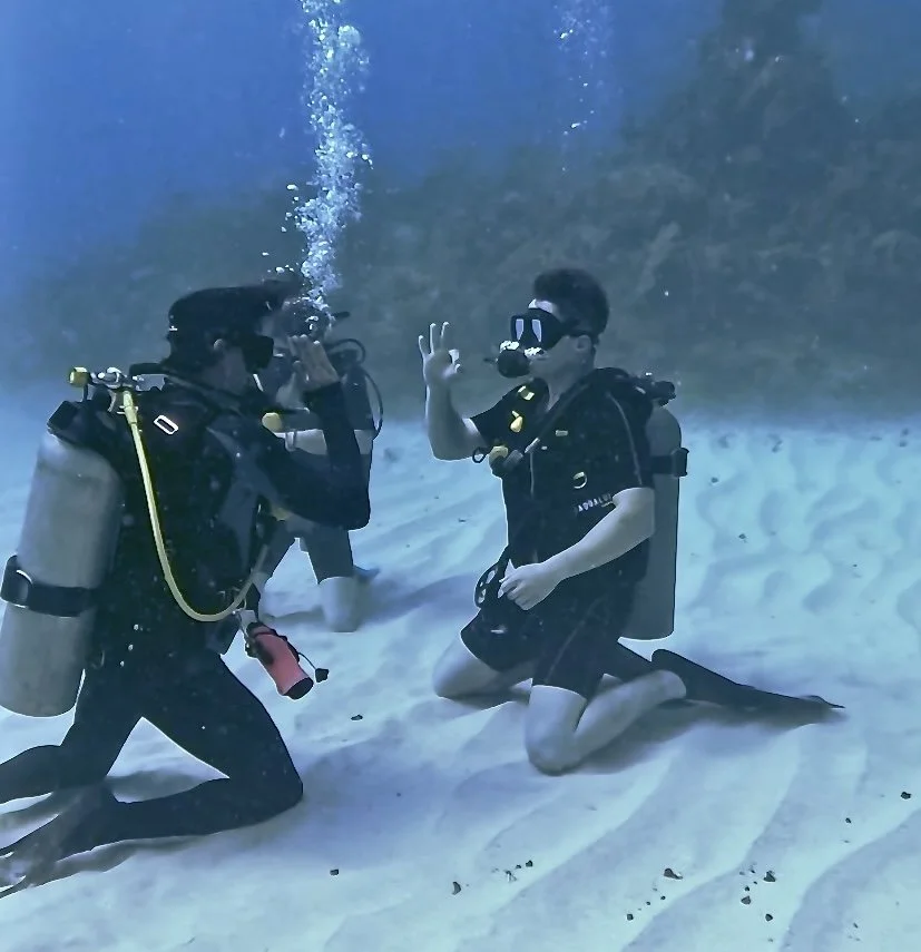 Can You Scuba Dive in Tulum Without a License? Beginner Guide (2026)