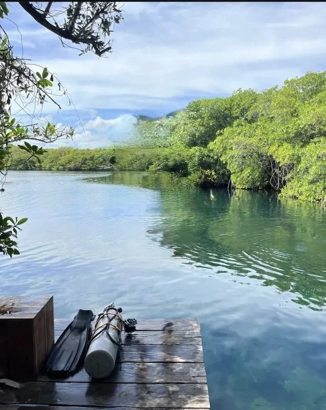 Yaxchen Cenote, a calm freshwater cenote surrounded by tropical vegetation near Tulum, Mexico