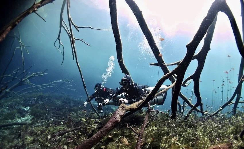 divers at carwash cenote