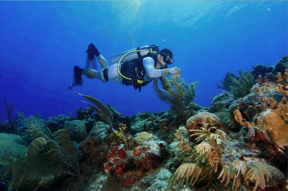 Cozumel diving from Tulum with Mexidivers