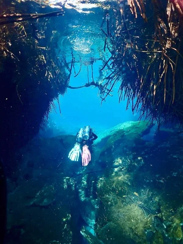 cenote diving in tulum.jpeg