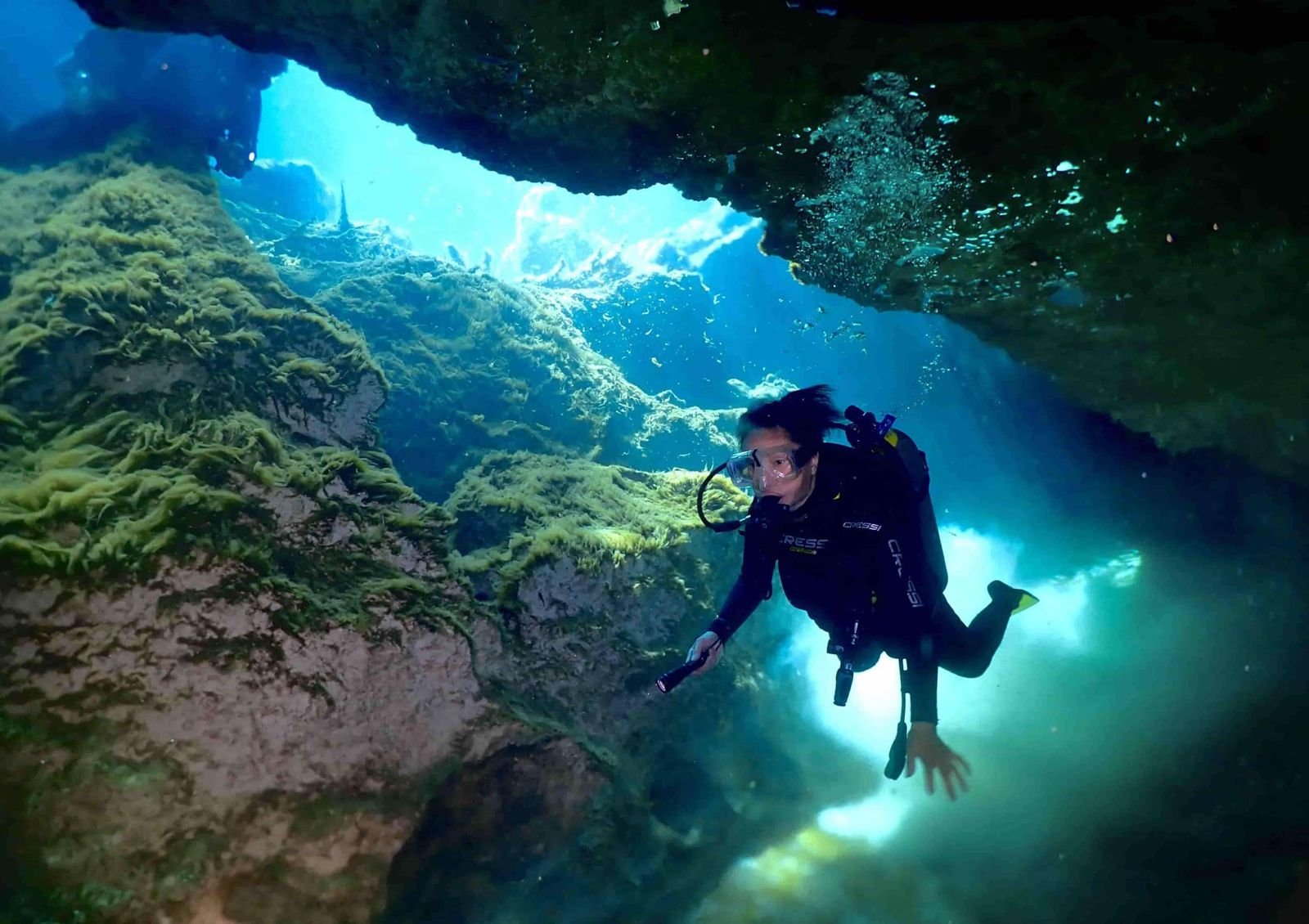 diver at casa cenote.jpeg