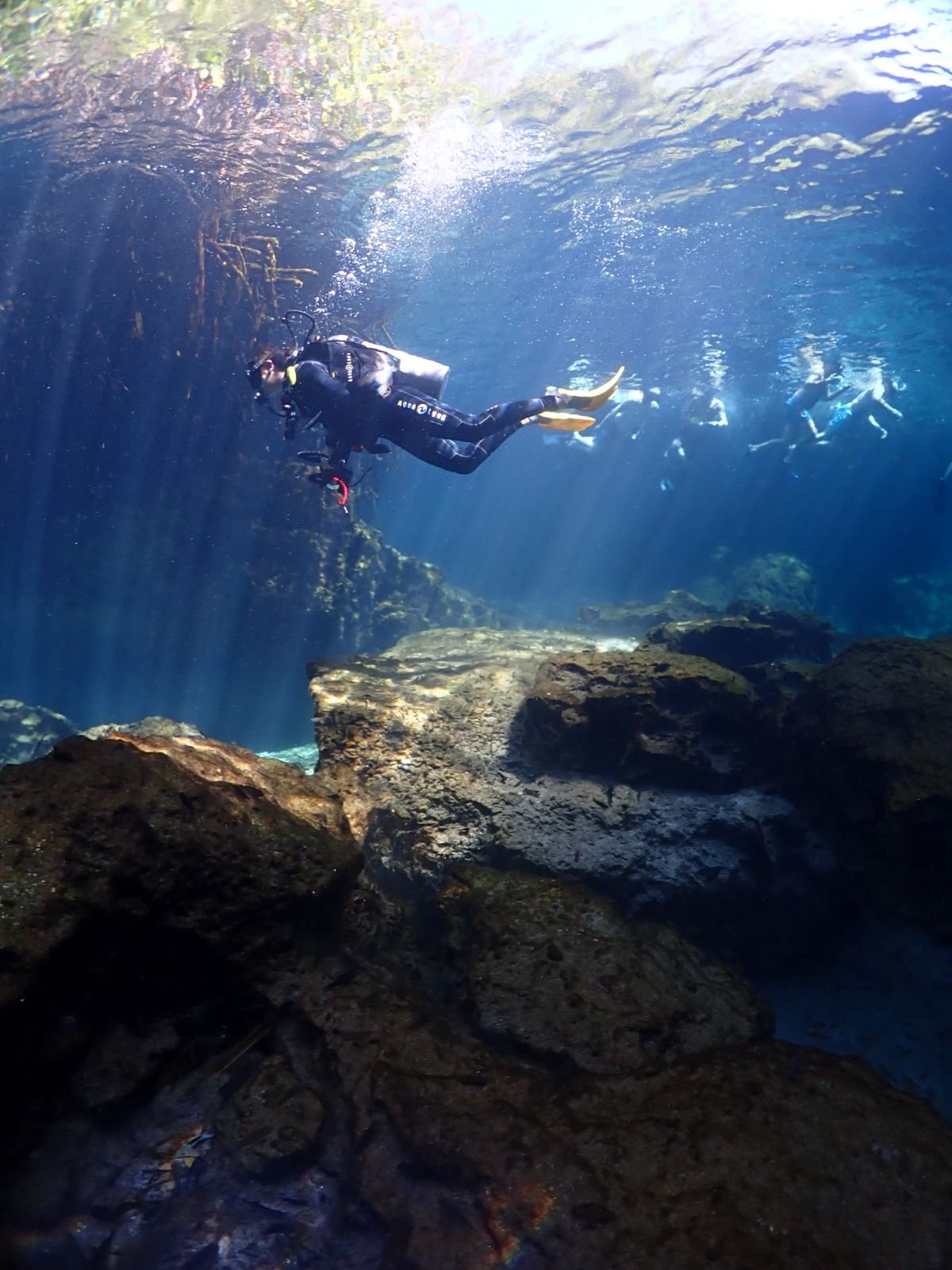 amazing visibility at casa cenote