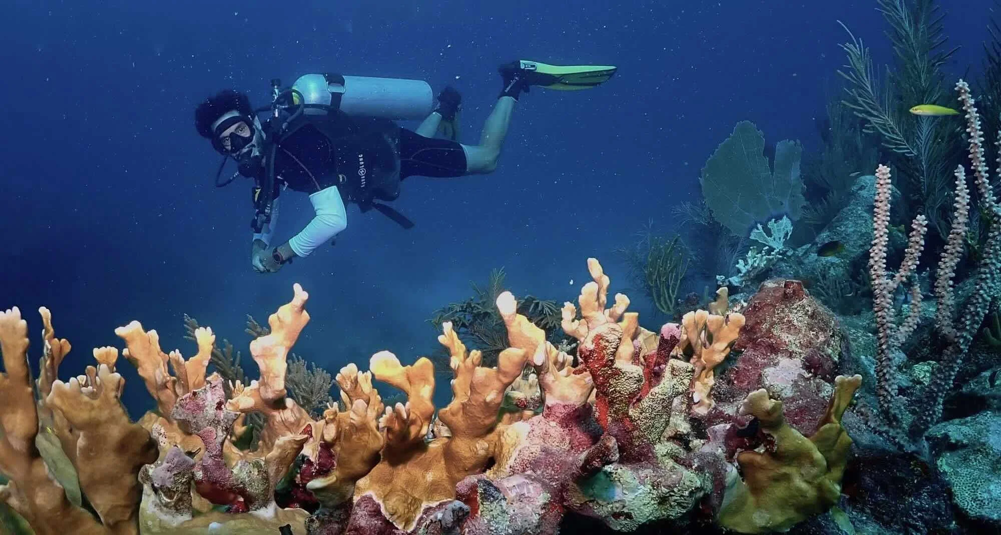 Scuba diver diving the mesoamerican reef at tulum with mexidivers