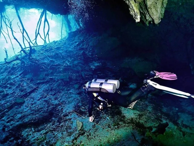 Carwash cenote Aktun Ha with lily pads and natural light near Tulum, Mexico