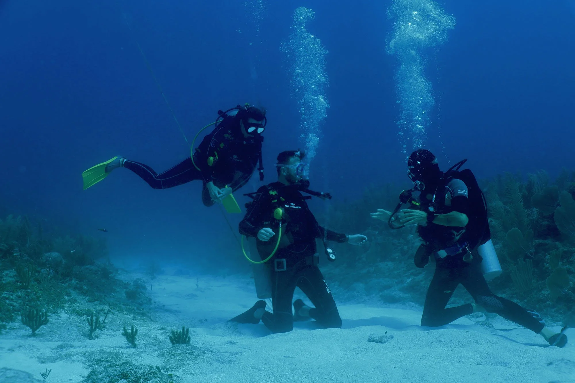 Three scuba divers underwater, interacting on a sandy ocean floor surrounded by marine vegetation.
