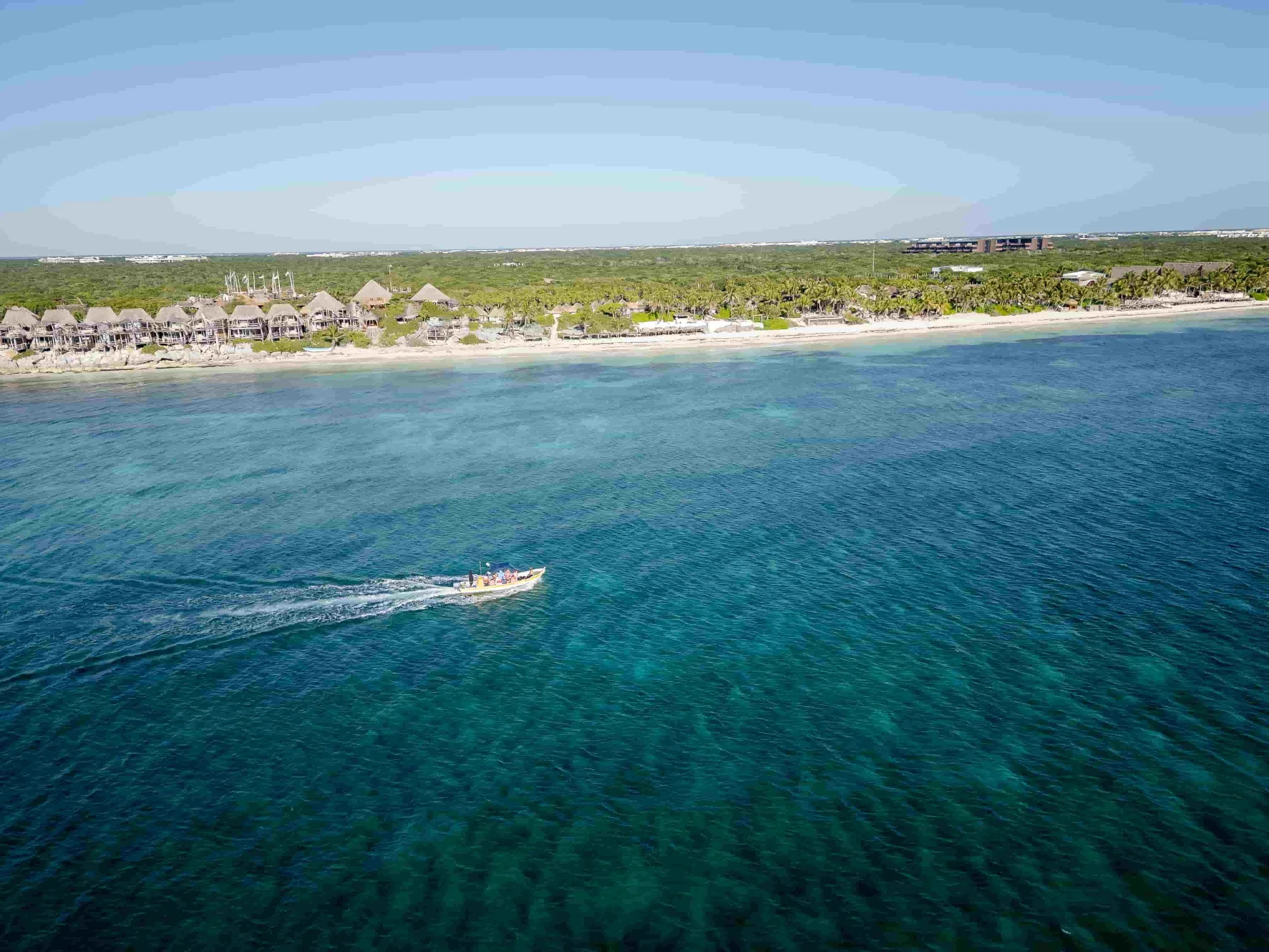 Sargassum along the shoreline of Tulum with the Caribbean Sea beyond