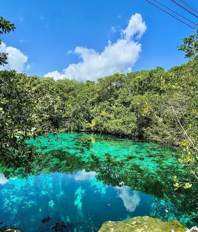 Casa Cenote Entrance