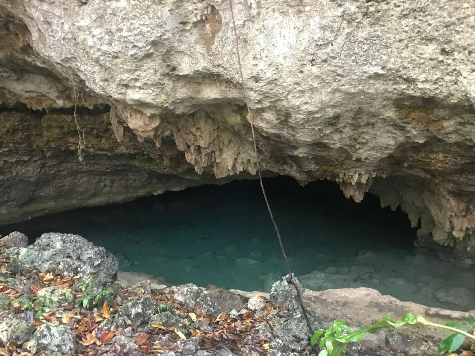 Small Cenote Entrance to cave system