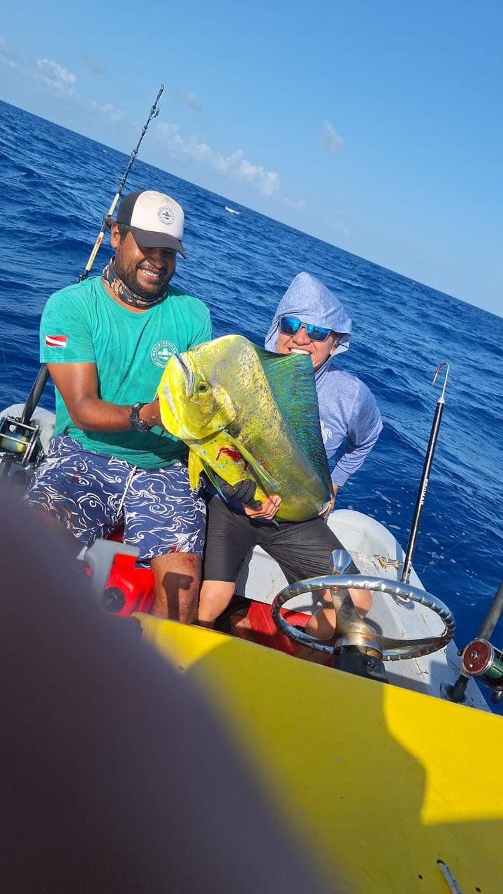 mahi mahi fishing tulum