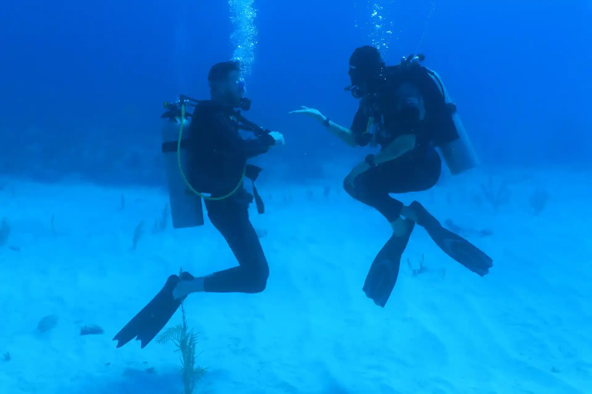 PADI Divemaster candidate practicing buoyancy and underwater communication during training in Tulum