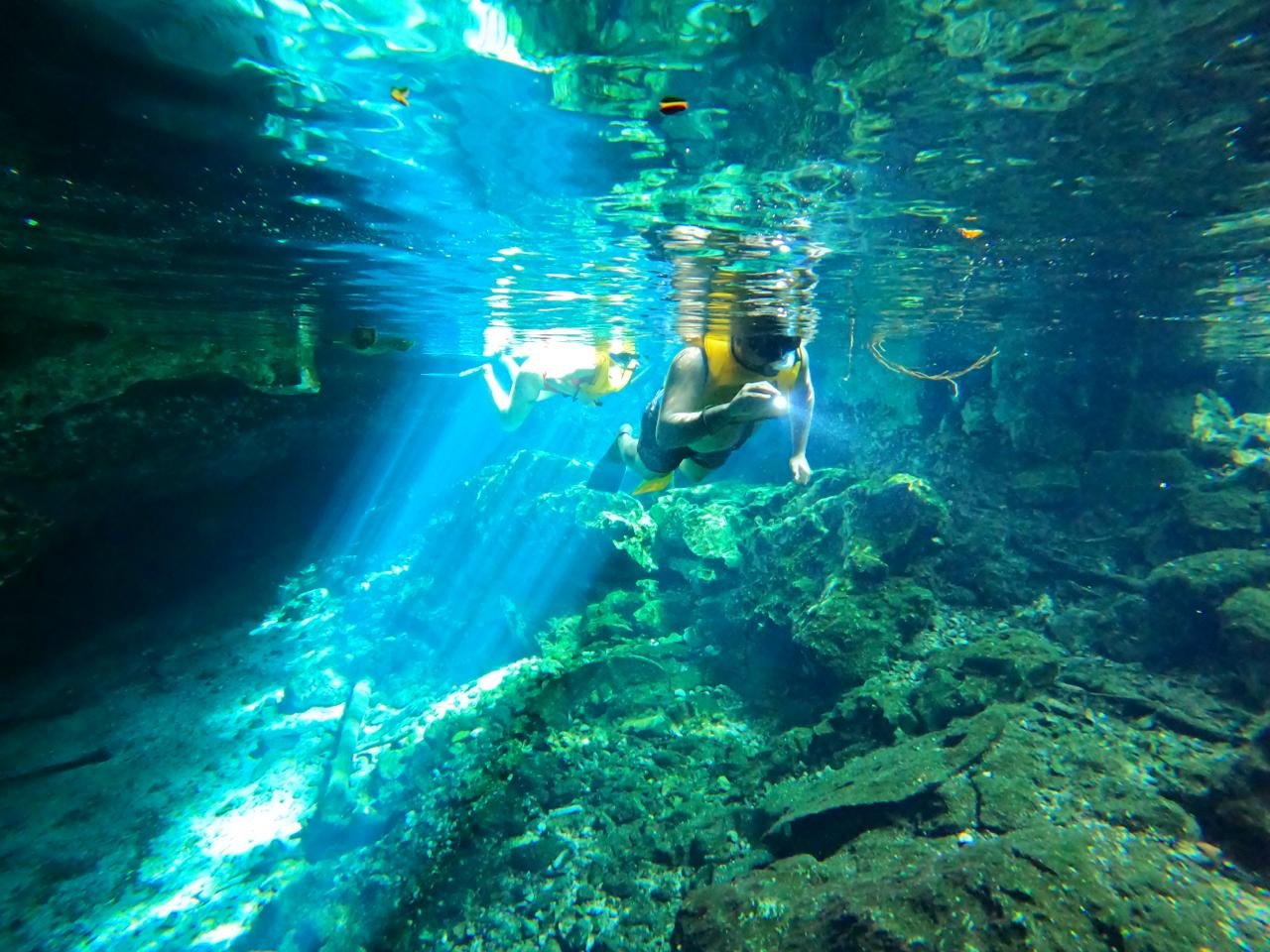 clear cenote snorkeling mexidivers