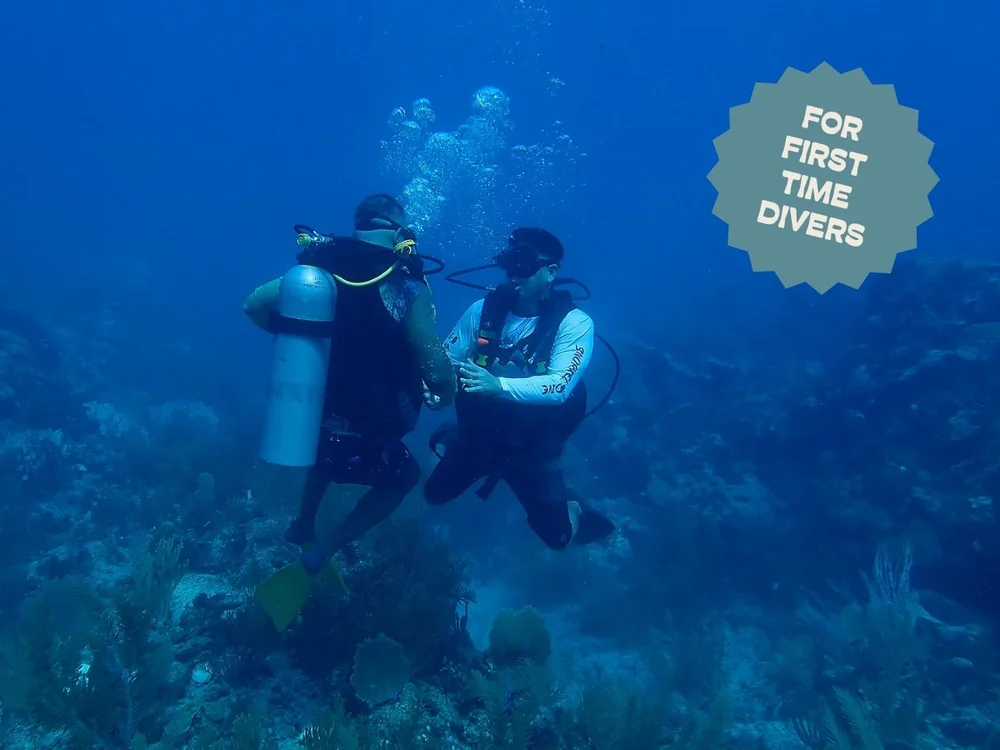 Discover Scuba Diving on the reef in Tulum