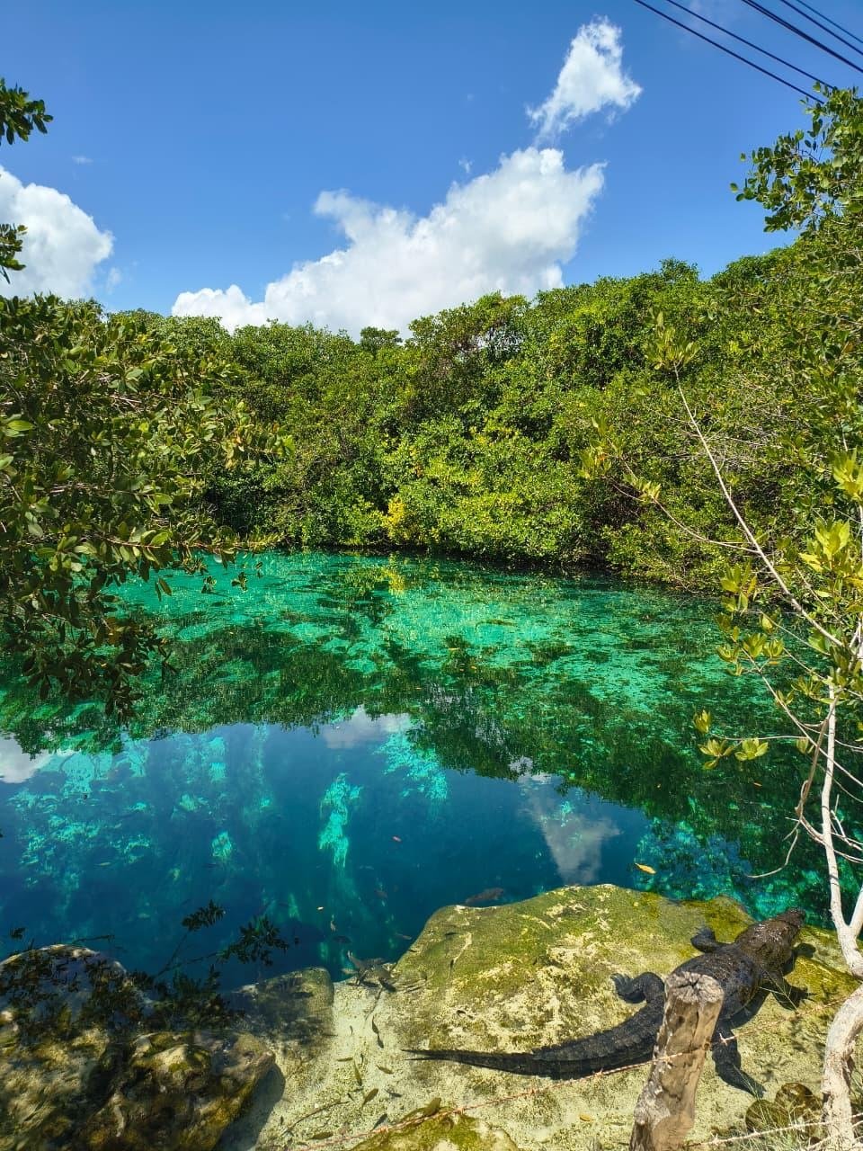Crystal-clear water at the entrance of casa centote