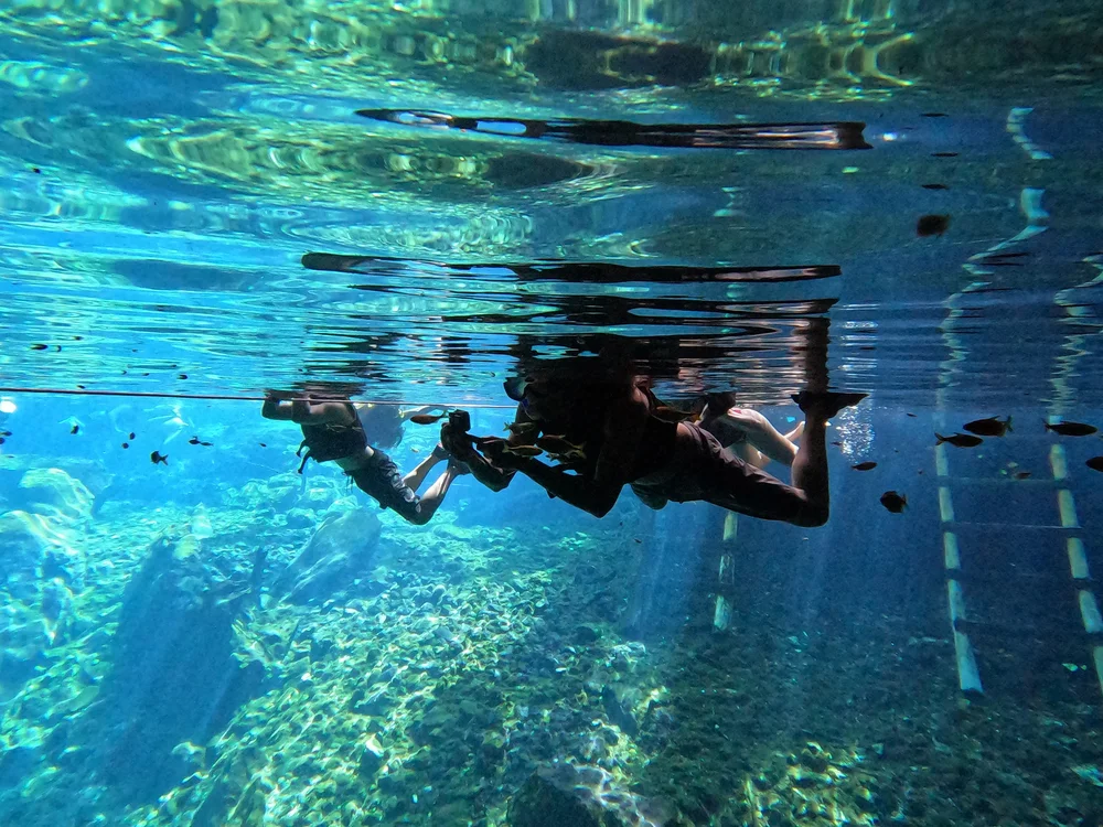 Cenote snorkeling tour in crystal clear freshwater in Tulum