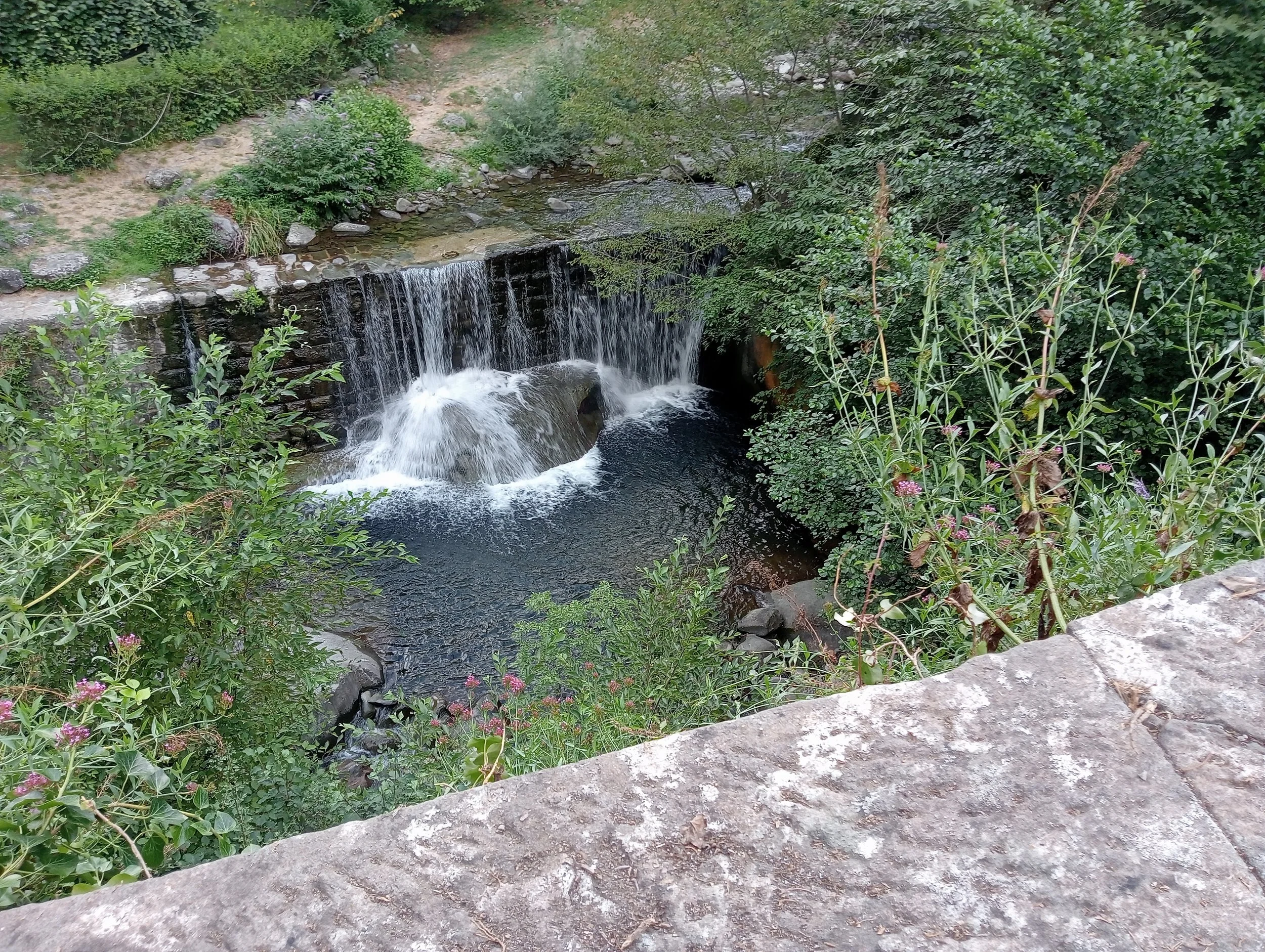 IMG20230730185417.jpg