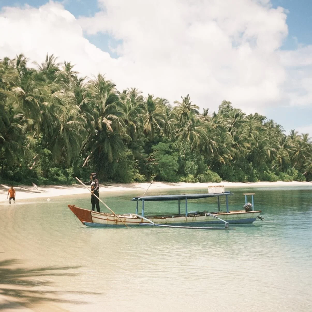 ✨

X @fionavillamayor