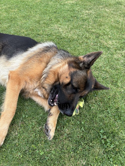 Nena