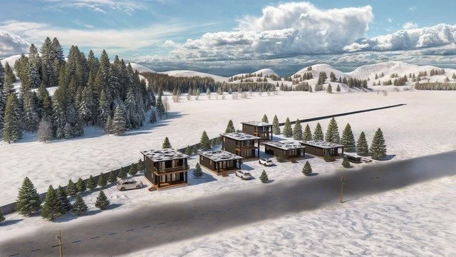 Modern cabins in a winter landscape with snow-covered ground and trees, beneath a cloudy sky.
